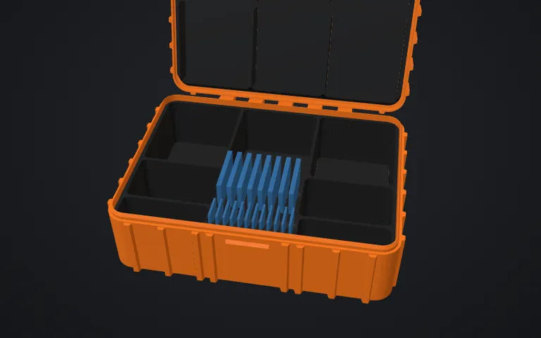 Case organizador